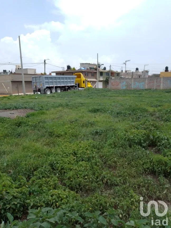 Terreno en Venta en San Vicente Chicoloapan de Juárez Centro, Chicoloapan, México | NEX-297826 | iad México | Foto 3 de 9