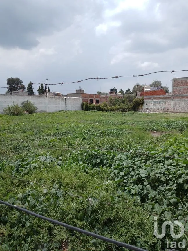 Terreno en Venta en San Vicente Chicoloapan de Juárez Centro, Chicoloapan, México | NEX-297826 | iad México | Foto 7 de 9