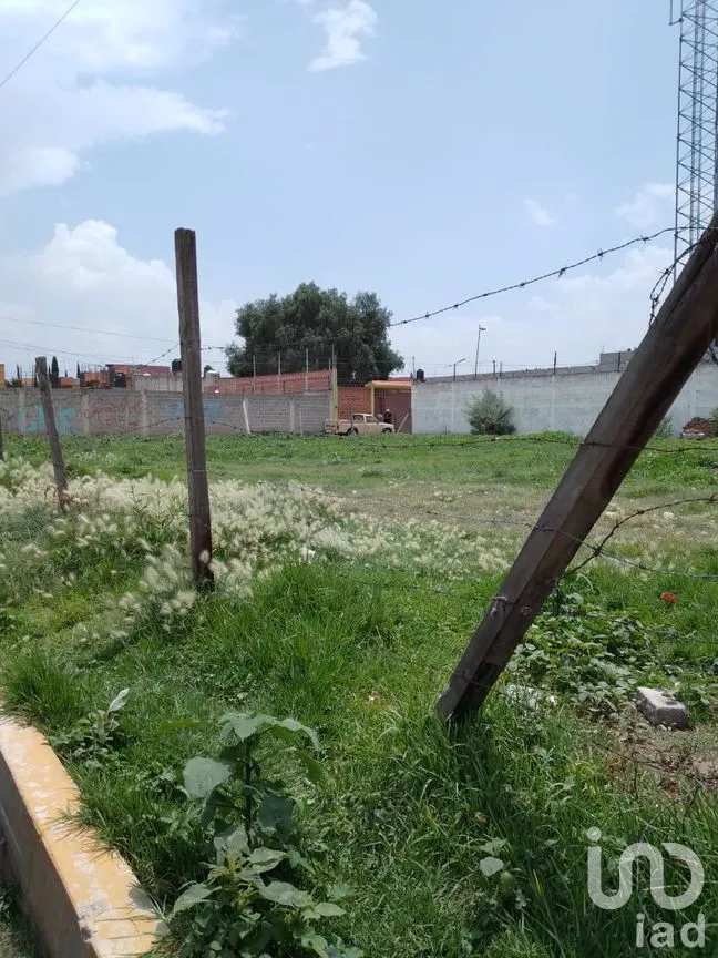 Terreno en Venta en San Vicente Chicoloapan de Juárez Centro, Chicoloapan, México | NEX-297826 | iad México | Foto 8 de 9