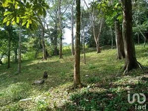 NEX-165194 - Terreno en Venta en Dos Amates, CP 95880, Veracruz de Ignacio de la Llave.