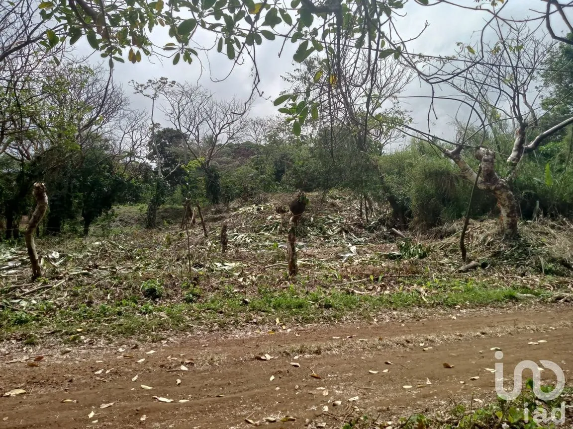 Terreno en Venta en Montepío, San Andrés Tuxtla, Veracruz de Ignacio de la Llave | NEX-167730 | iad México | Foto 4 de 8