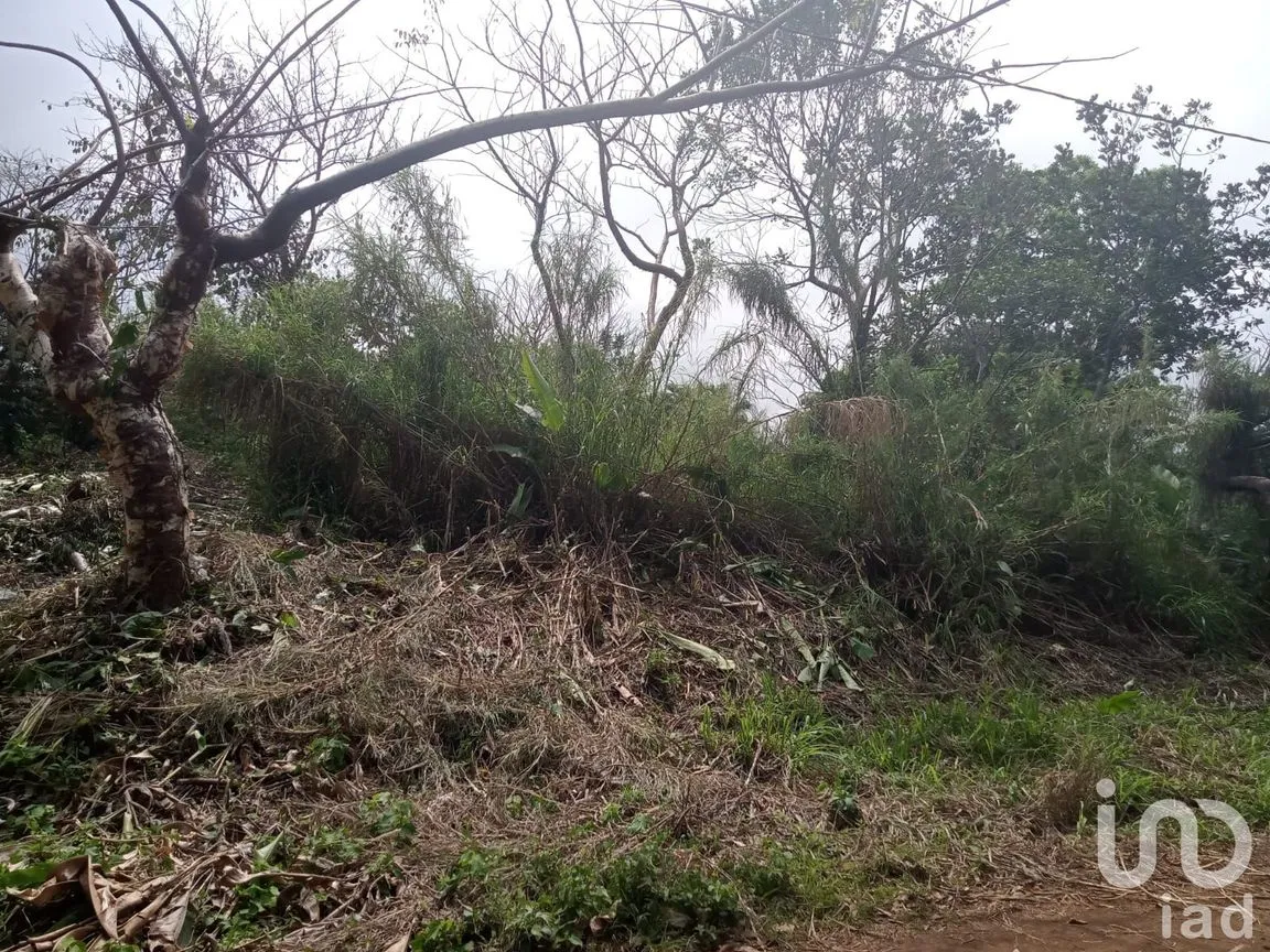 Terreno en Venta en Montepío, San Andrés Tuxtla, Veracruz de Ignacio de la Llave | NEX-167730 | iad México | Foto 5 de 8