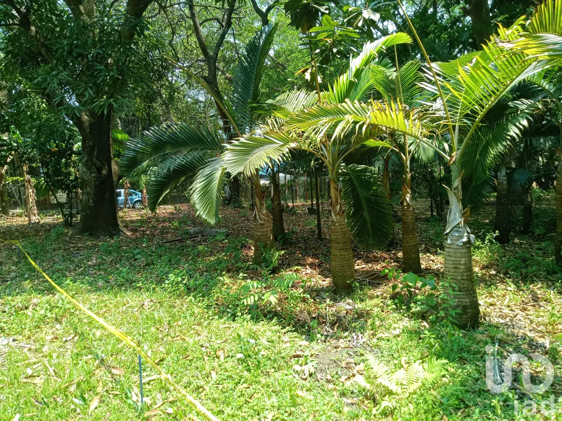 Terreno en Venta en El Jardín, San Andrés Tuxtla, Veracruz de Ignacio de la Llave