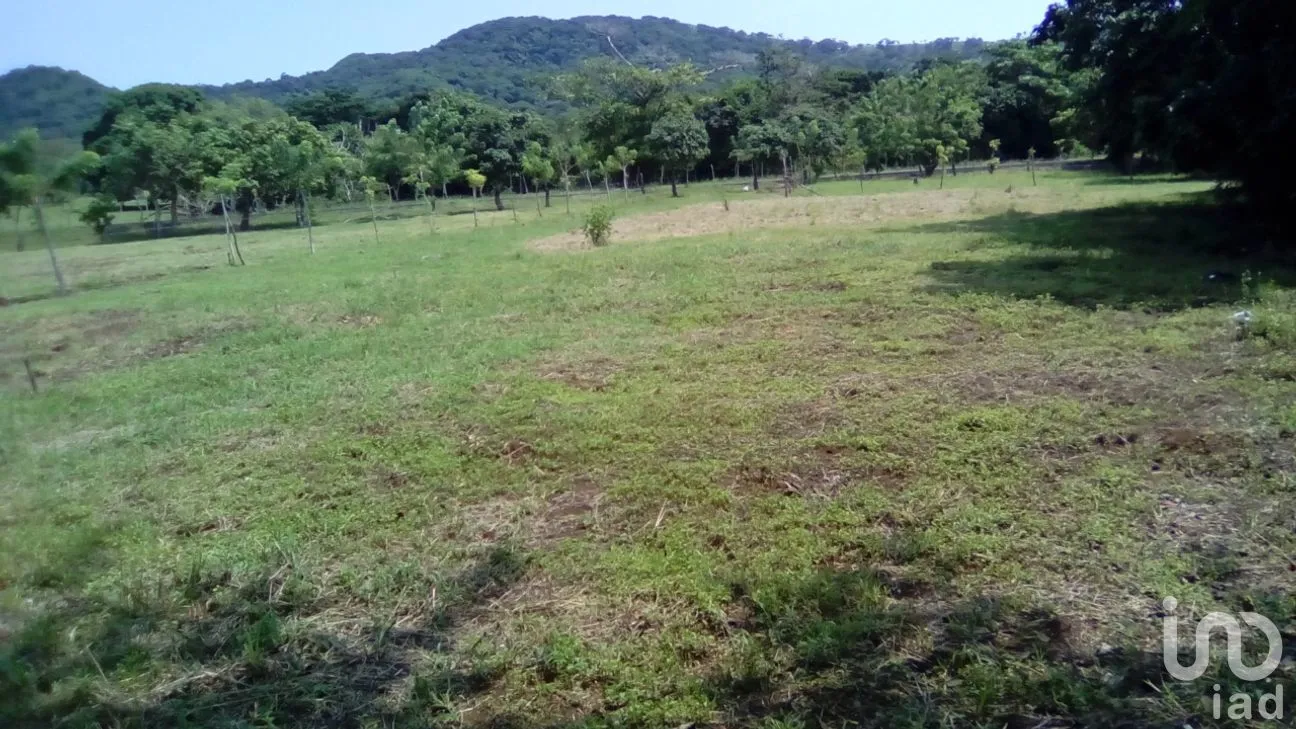 Terreno en Venta en Dos de Abril (Montepío Chiquito), San Andrés Tuxtla, Veracruz de Ignacio de la Llave | NEX-177311 | iad México | Foto 12 de 18