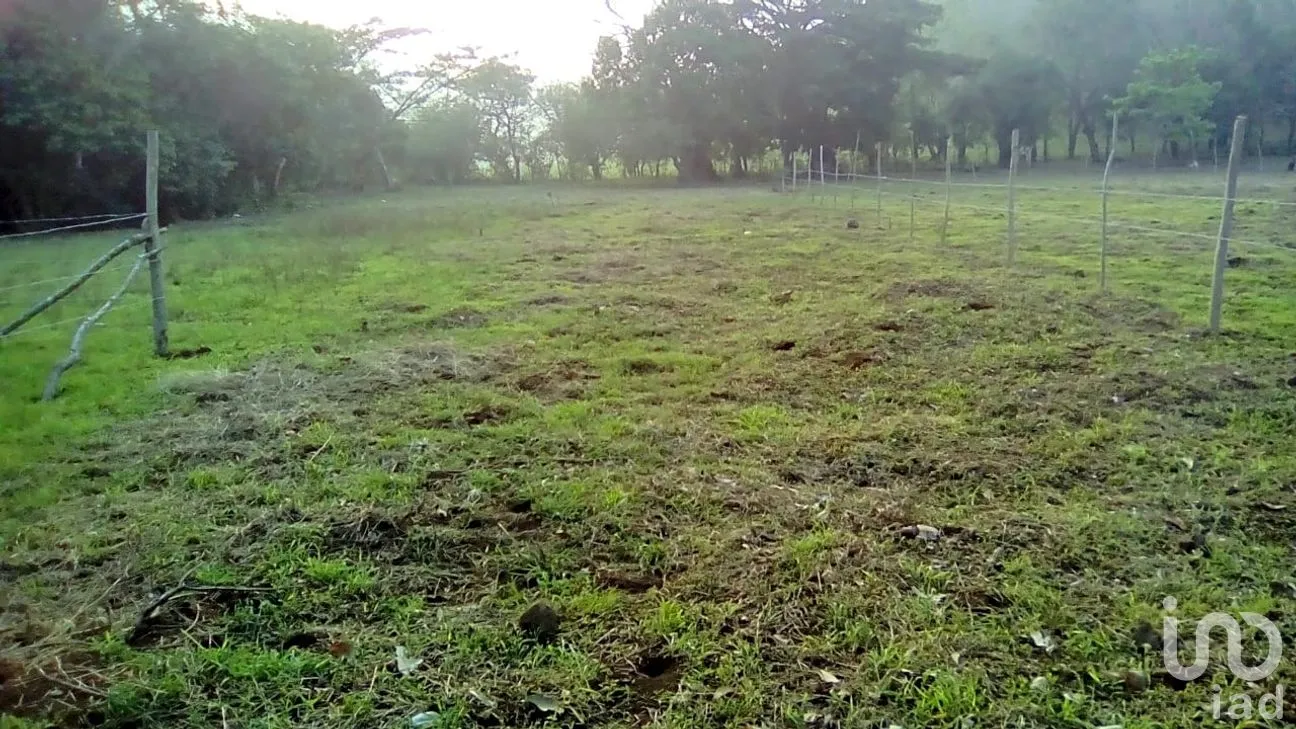 Terreno en Venta en Dos de Abril (Montepío Chiquito), San Andrés Tuxtla, Veracruz de Ignacio de la Llave | NEX-177311 | iad México | Foto 13 de 18