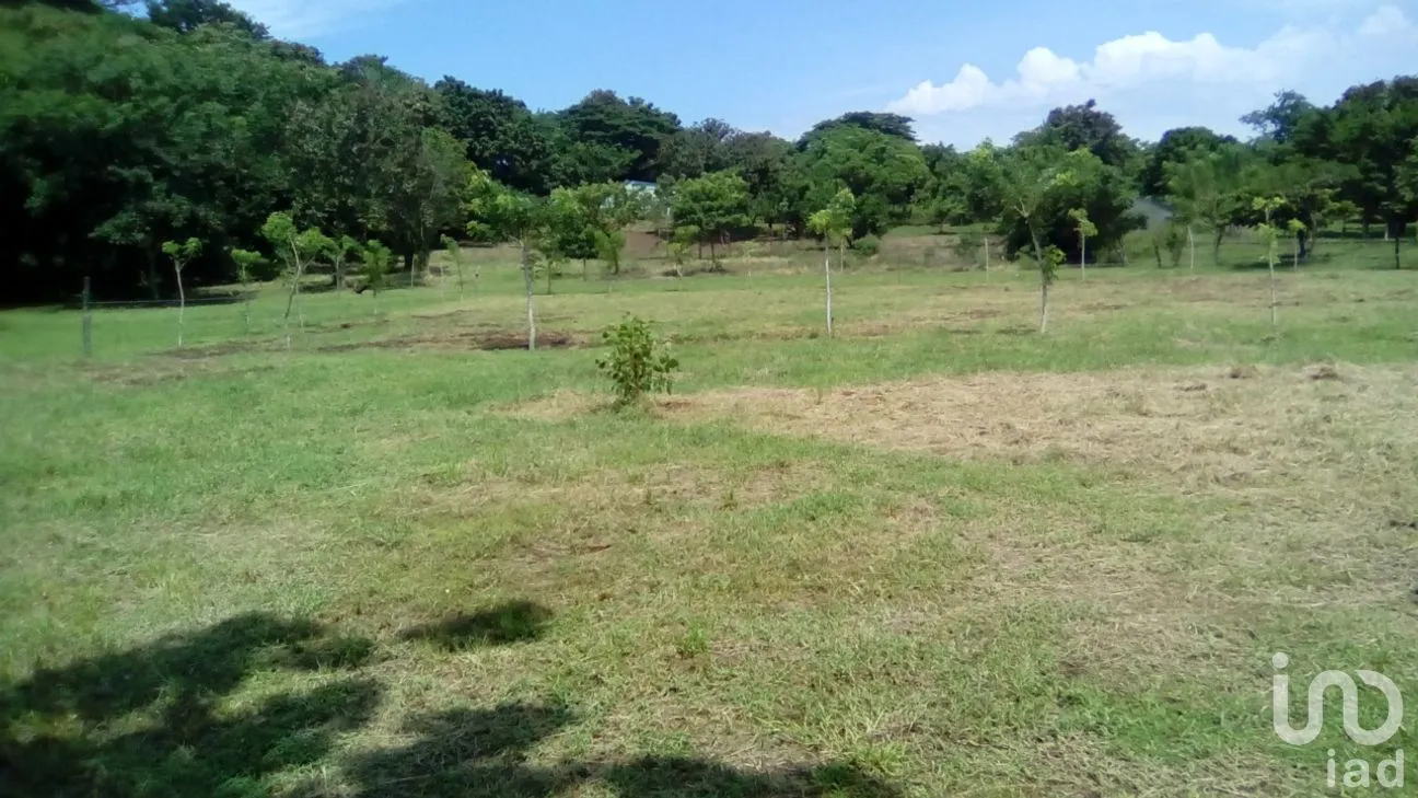 Terreno en Venta en Dos de Abril (Montepío Chiquito), San Andrés Tuxtla, Veracruz de Ignacio de la Llave | NEX-177311 | iad México | Foto 14 de 18