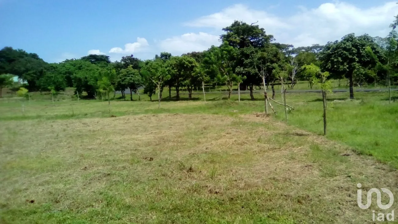 Terreno en Venta en Dos de Abril (Montepío Chiquito), San Andrés Tuxtla, Veracruz de Ignacio de la Llave | NEX-177311 | iad México | Foto 17 de 18