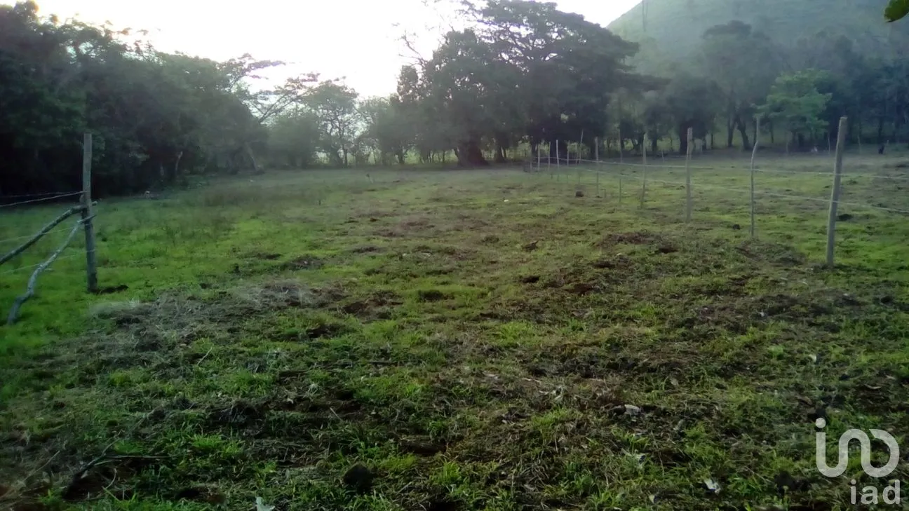 Terreno en Venta en Dos de Abril (Montepío Chiquito), San Andrés Tuxtla, Veracruz de Ignacio de la Llave | NEX-177311 | iad México | Foto 5 de 18