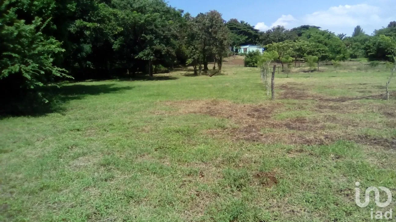 Terreno en Venta en Dos de Abril (Montepío Chiquito), San Andrés Tuxtla, Veracruz de Ignacio de la Llave | NEX-177311 | iad México | Foto 6 de 18