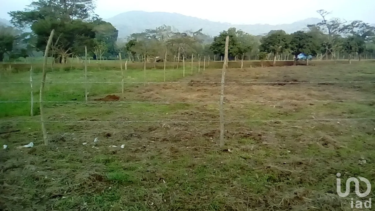 Terreno en Venta en Dos de Abril (Montepío Chiquito), San Andrés Tuxtla, Veracruz de Ignacio de la Llave | NEX-177311 | iad México | Foto 7 de 18