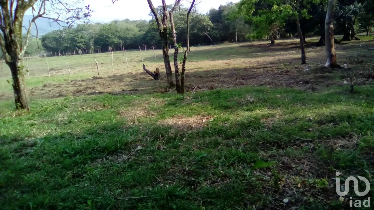 Terreno en Venta en Dos de Abril (Montepío Chiquito), San Andrés Tuxtla, Veracruz de Ignacio de la Llave | NEX-177311 | iad México | Foto 8 de 18