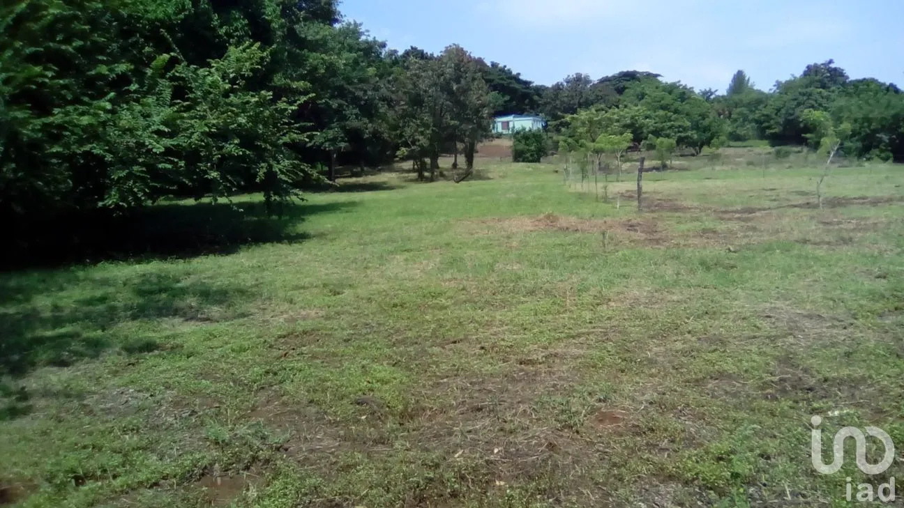 Terreno en Venta en Dos de Abril (Montepío Chiquito), San Andrés Tuxtla, Veracruz de Ignacio de la Llave | NEX-177311 | iad México | Foto 10 de 18
