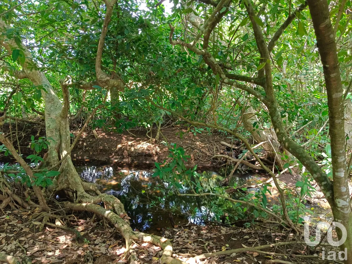 Terreno en Venta en Dos de Abril (Montepío Chiquito), San Andrés Tuxtla, Veracruz de Ignacio de la Llave | NEX-177311 | iad México | Foto 11 de 15