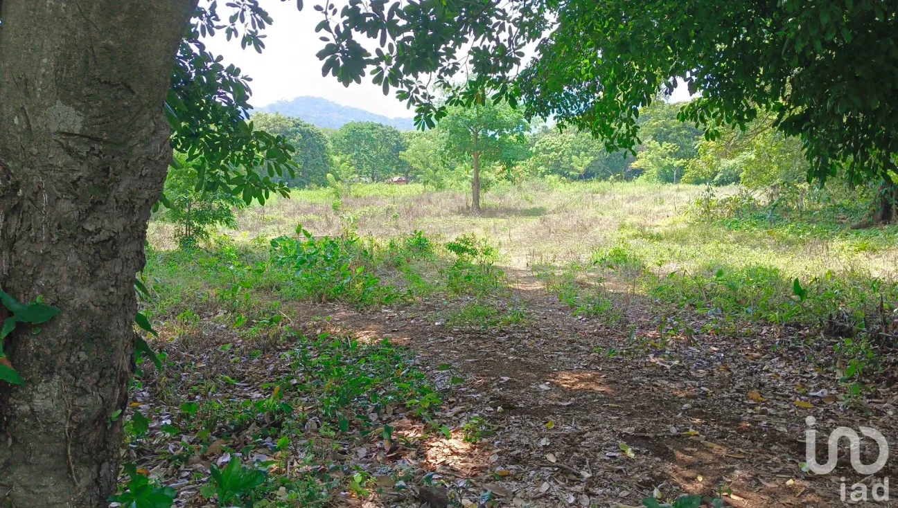 Terreno en Venta en Dos de Abril (Montepío Chiquito), San Andrés Tuxtla, Veracruz de Ignacio de la Llave | NEX-177311 | iad México | Foto 6 de 15