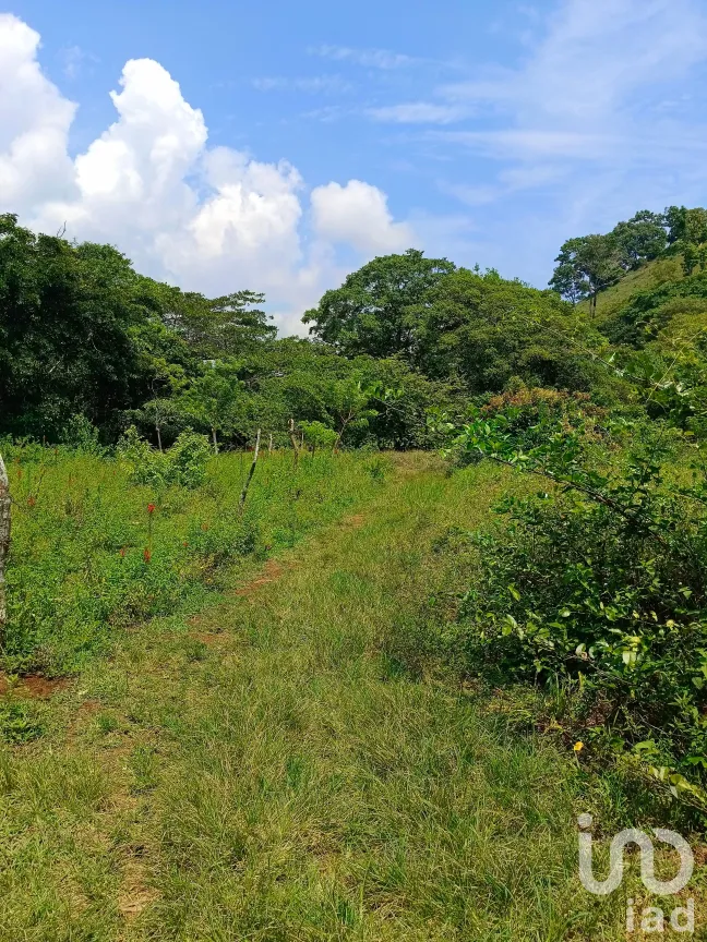 Terreno en Venta en Dos de Abril (Montepío Chiquito), San Andrés Tuxtla, Veracruz de Ignacio de la Llave | NEX-177311 | iad México | Foto 1 de 15