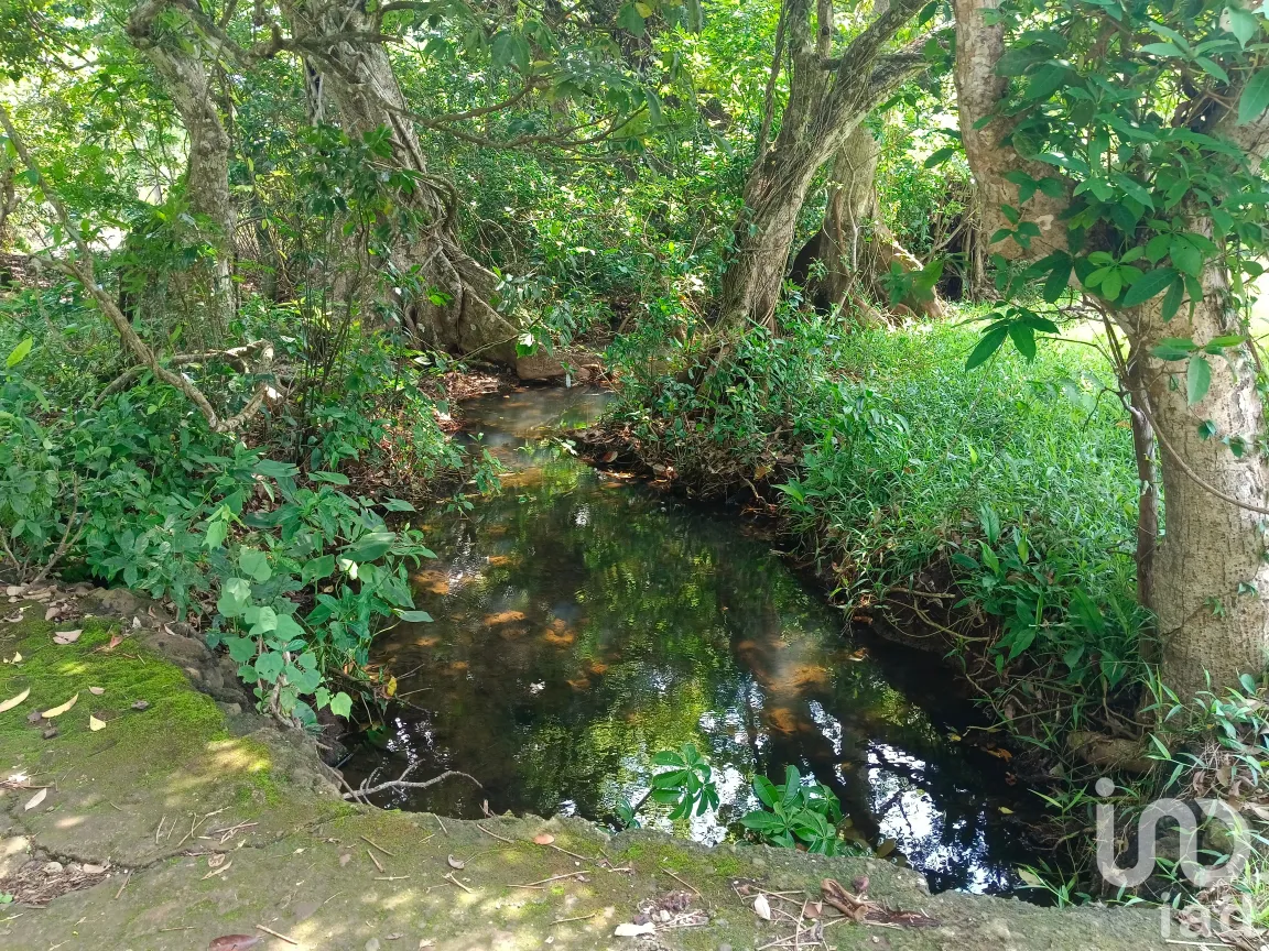 Terreno en Venta en Dos de Abril (Montepío Chiquito), San Andrés Tuxtla, Veracruz de Ignacio de la Llave | NEX-177311 | iad México | Foto 9 de 15