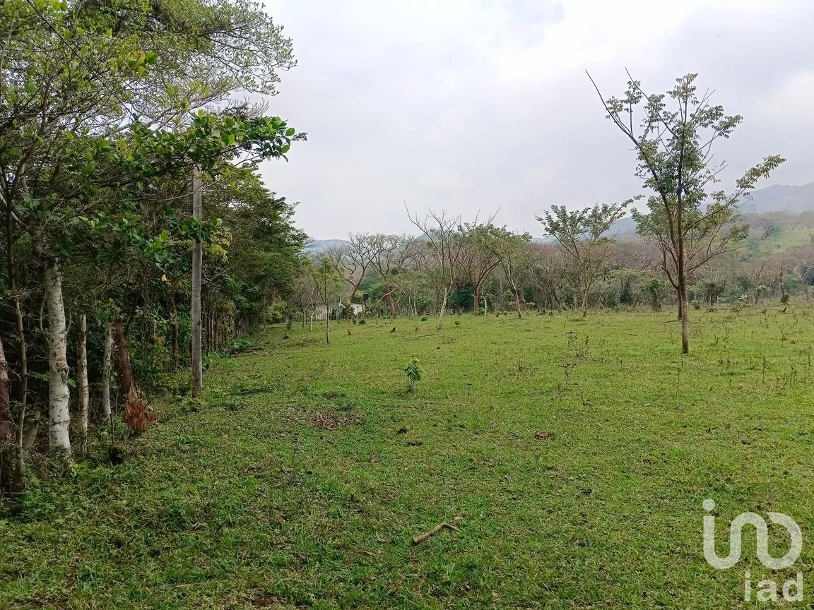 Terreno en Venta en Tebanca, Catemaco, Veracruz de Ignacio de la Llave | NEX-182669 | iad México | Foto 2 de 19
