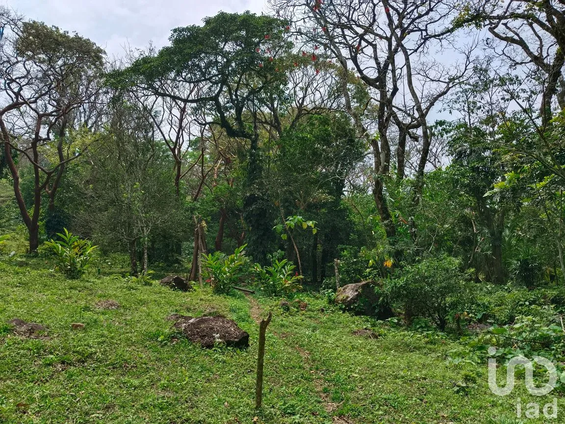 Terreno en Venta en Tebanca, Catemaco, Veracruz de Ignacio de la Llave | NEX-182669 | iad México | Foto 11 de 19