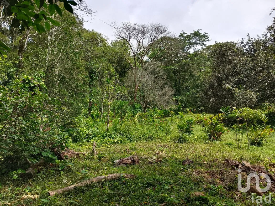 Terreno en Venta en Tebanca, Catemaco, Veracruz de Ignacio de la Llave | NEX-182669 | iad México | Foto 12 de 19