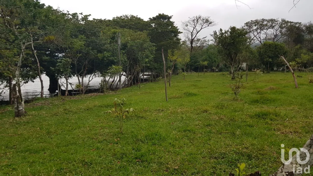 Terreno en Venta en Tebanca, Catemaco, Veracruz de Ignacio de la Llave | NEX-182669 | iad México | Foto 13 de 19