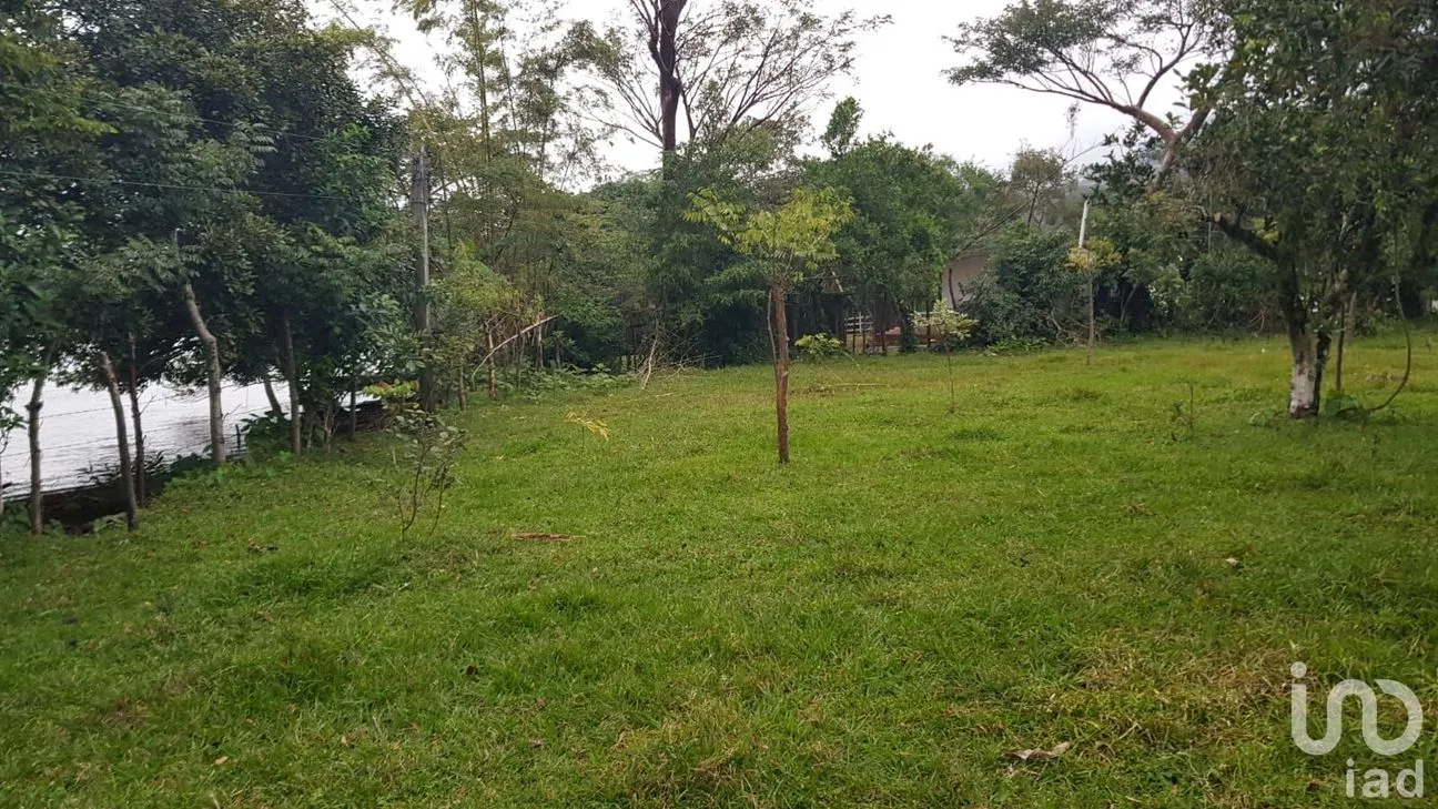 Terreno en Venta en Tebanca, Catemaco, Veracruz de Ignacio de la Llave | NEX-182669 | iad México | Foto 14 de 19