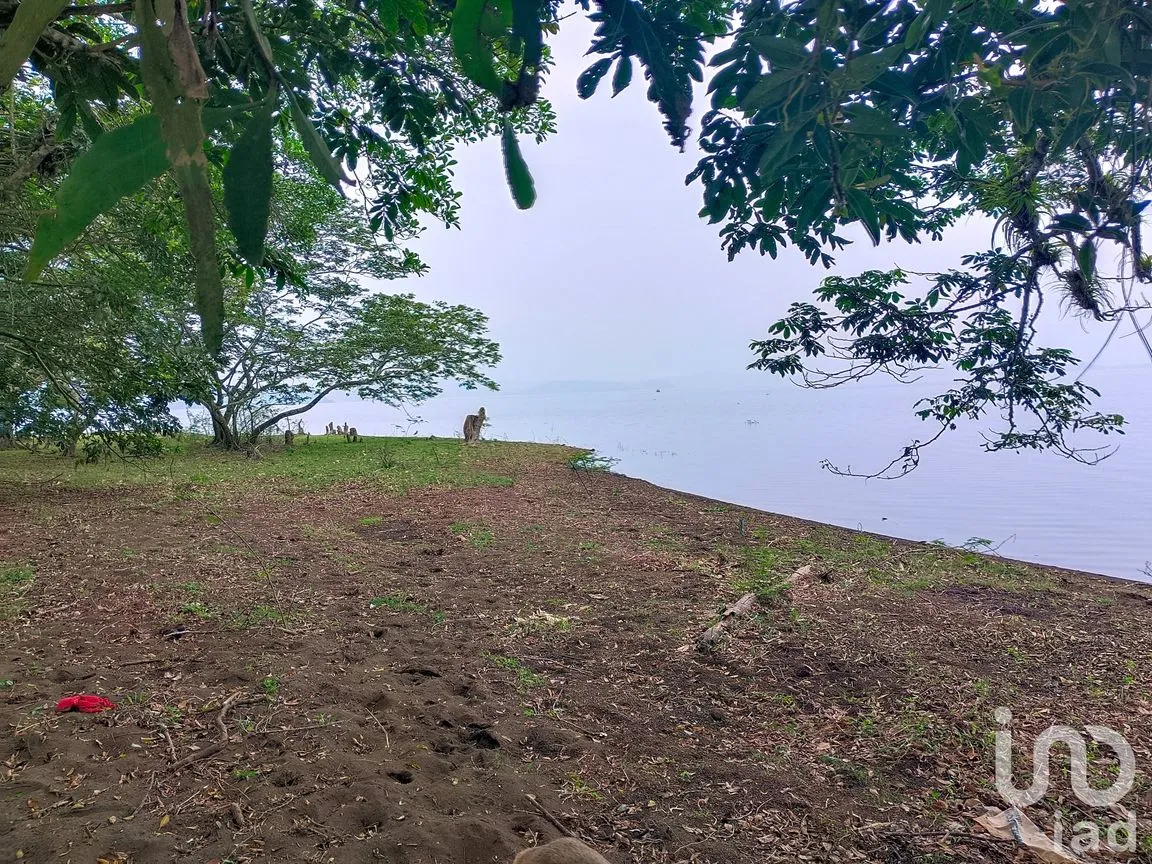 Terreno en Venta en Tebanca, Catemaco, Veracruz de Ignacio de la Llave | NEX-182669 | iad México | Foto 15 de 19