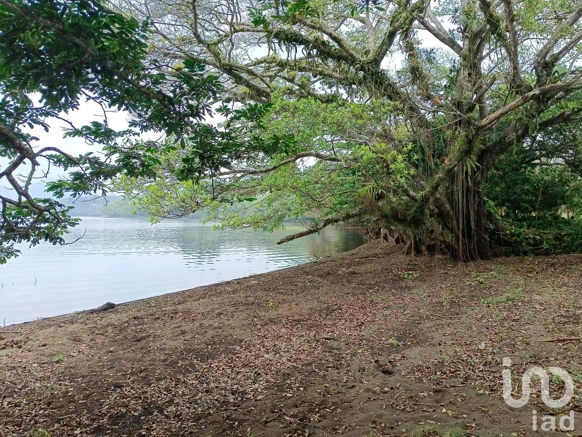 Terreno en Venta en Tebanca, Catemaco, Veracruz de Ignacio de la Llave | NEX-182669 | iad México | Foto 16 de 19