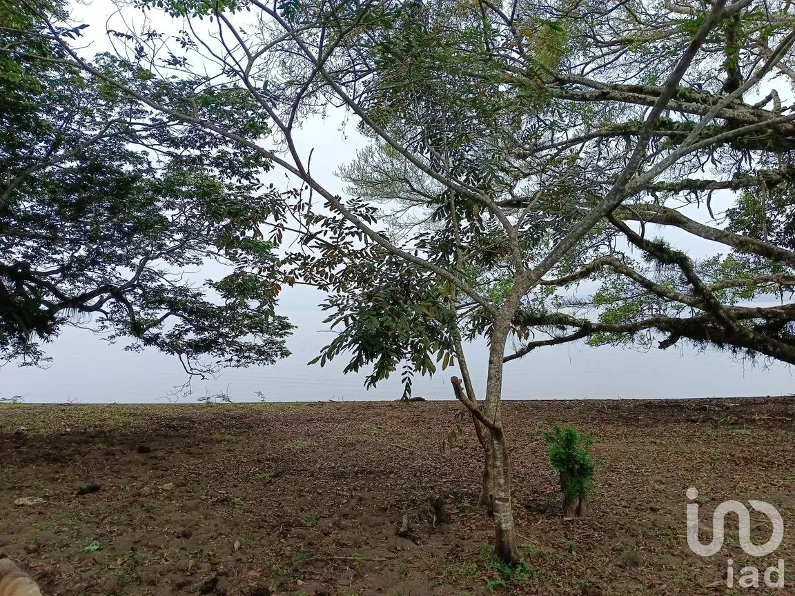Terreno en Venta en Tebanca, Catemaco, Veracruz de Ignacio de la Llave | NEX-182669 | iad México | Foto 18 de 19