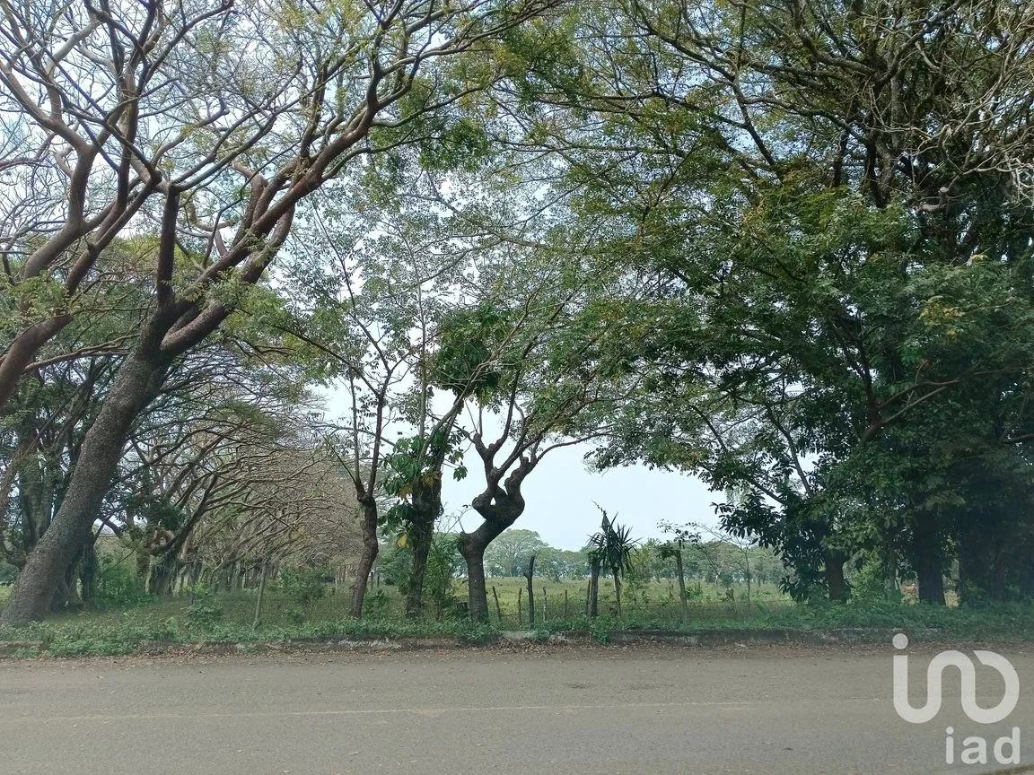 Terreno en Venta en Tebanca, Catemaco, Veracruz de Ignacio de la Llave | NEX-182669 | iad México | Foto 19 de 19
