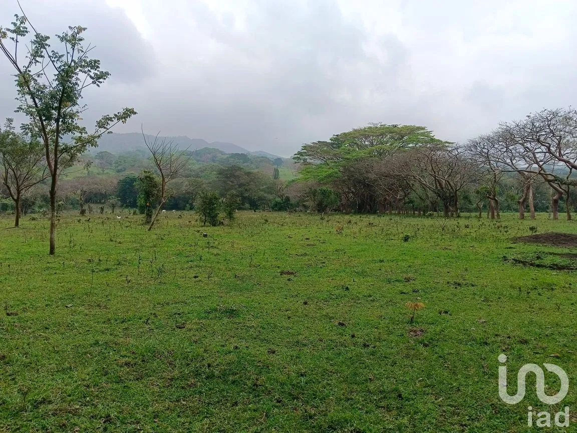 Terreno en Venta en Tebanca, Catemaco, Veracruz de Ignacio de la Llave | NEX-182669 | iad México | Foto 4 de 19