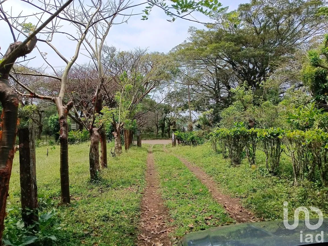 Terreno en Venta en Tebanca, Catemaco, Veracruz de Ignacio de la Llave | NEX-182669 | iad México | Foto 5 de 19