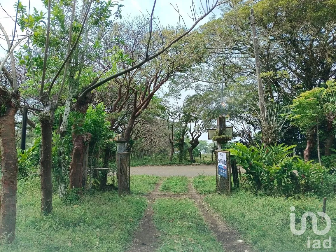 Terreno en Venta en Tebanca, Catemaco, Veracruz de Ignacio de la Llave | NEX-182669 | iad México | Foto 6 de 19