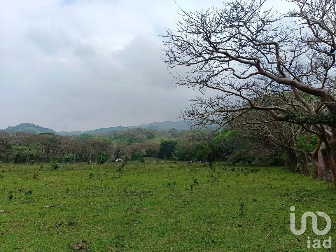 Terreno en Venta en Tebanca, Catemaco, Veracruz de Ignacio de la Llave | NEX-182669 | iad México | Foto 7 de 19