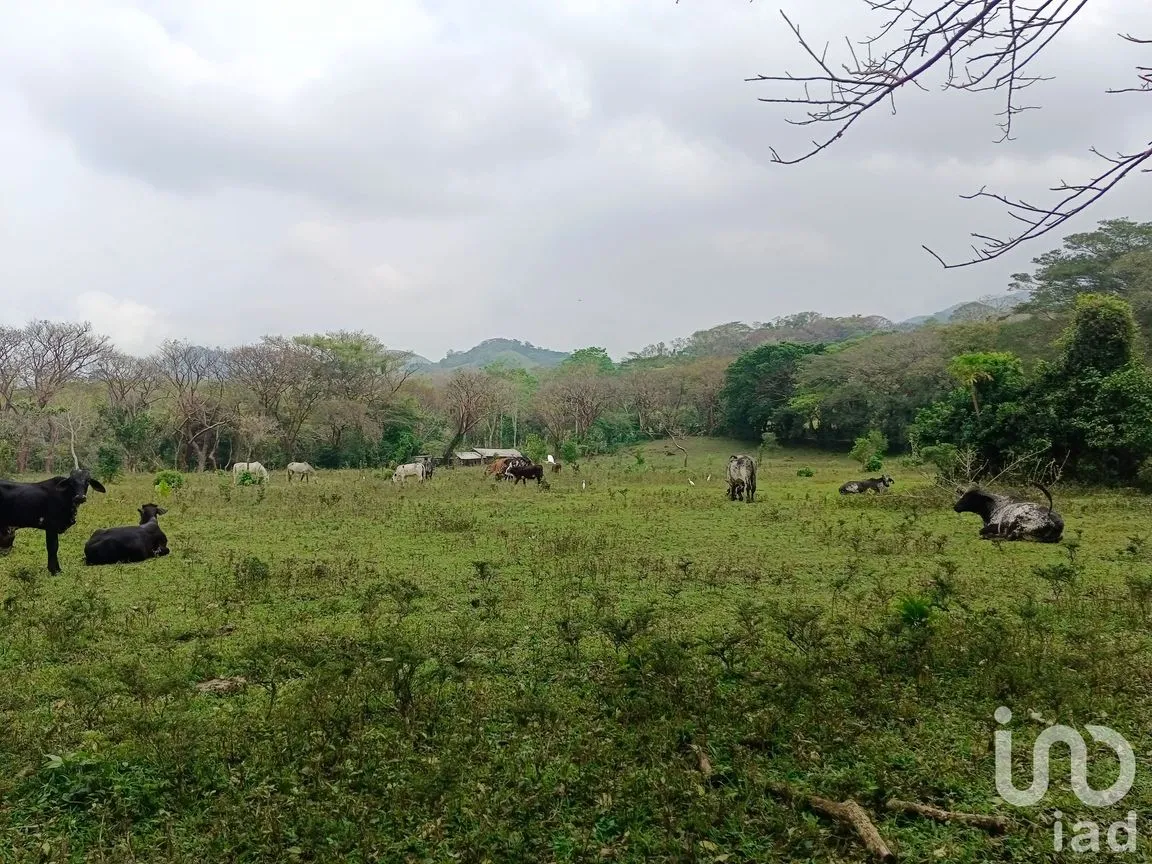 Terreno en Venta en Tebanca, Catemaco, Veracruz de Ignacio de la Llave | NEX-182669 | iad México | Foto 9 de 19