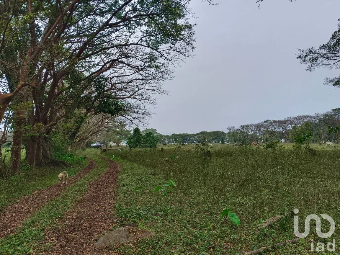 Terreno en Venta en Tebanca, Catemaco, Veracruz de Ignacio de la Llave | NEX-182669 | iad México | Foto 10 de 19