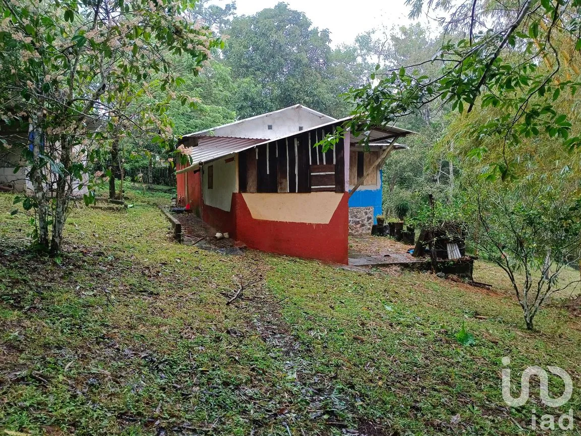 Casa en Venta en Dos Amates, Catemaco, Veracruz de Ignacio de la Llave