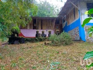 NEX-191314 - Casa en Venta, con 1 recamara, con 1 baño, con 55 m2 de construcción en Dos Amates, CP 95880, Veracruz de Ignacio de la Llave.