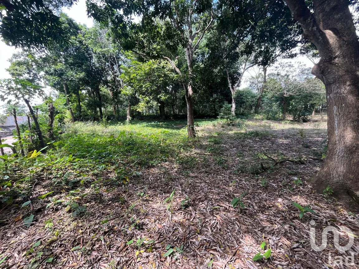 Terreno en Venta en Jorge L Tamayo, San Andrés Tuxtla, Veracruz de Ignacio de la Llave | NEX-243389 | iad México | Foto 2 de 18