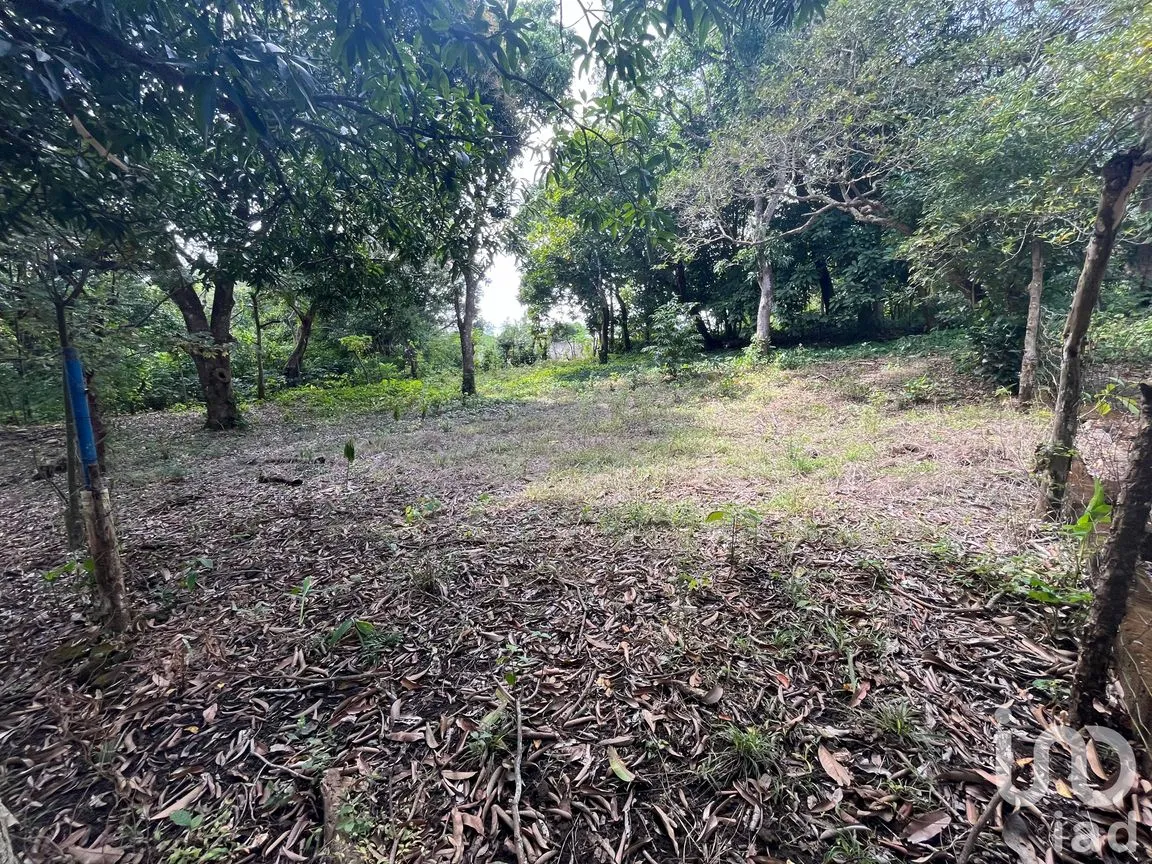 Terreno en Venta en Jorge L Tamayo, San Andrés Tuxtla, Veracruz de Ignacio de la Llave | NEX-243389 | iad México | Foto 11 de 18