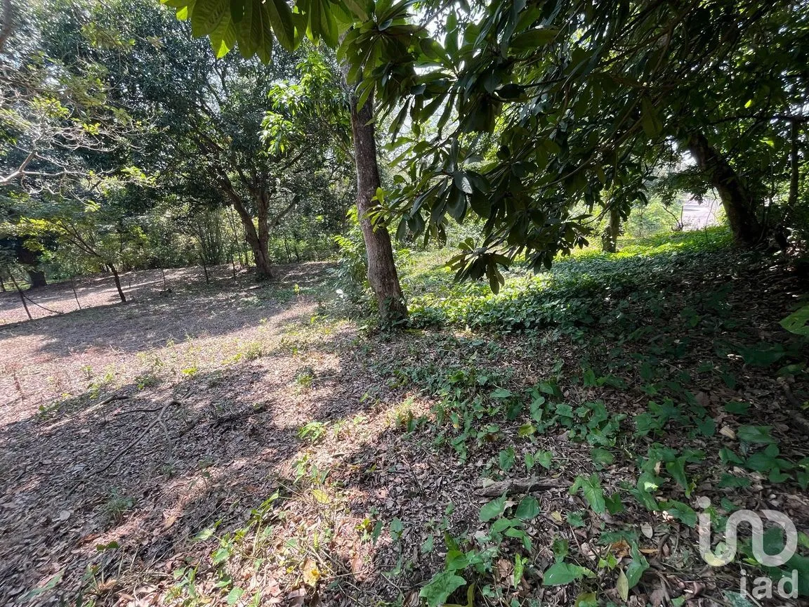 Terreno en Venta en Jorge L Tamayo, San Andrés Tuxtla, Veracruz de Ignacio de la Llave | NEX-243389 | iad México | Foto 14 de 18
