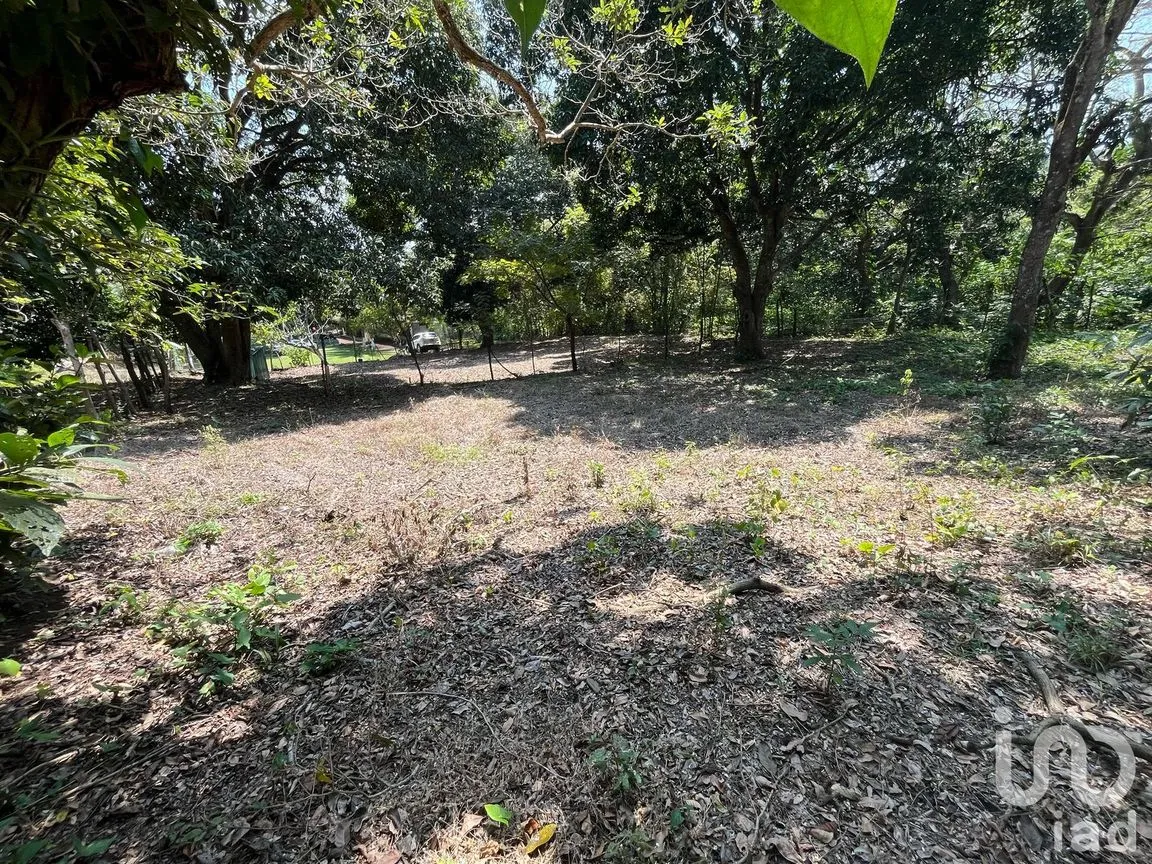 Terreno en Venta en Jorge L Tamayo, San Andrés Tuxtla, Veracruz de Ignacio de la Llave | NEX-243389 | iad México | Foto 18 de 18