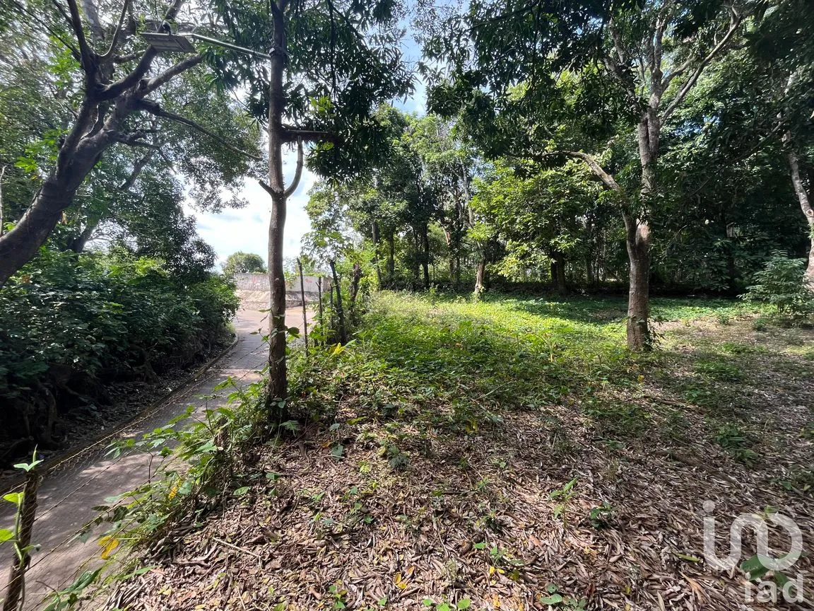 Terreno en Venta en Jorge L Tamayo, San Andrés Tuxtla, Veracruz de Ignacio de la Llave | NEX-243389 | iad México | Foto 3 de 18