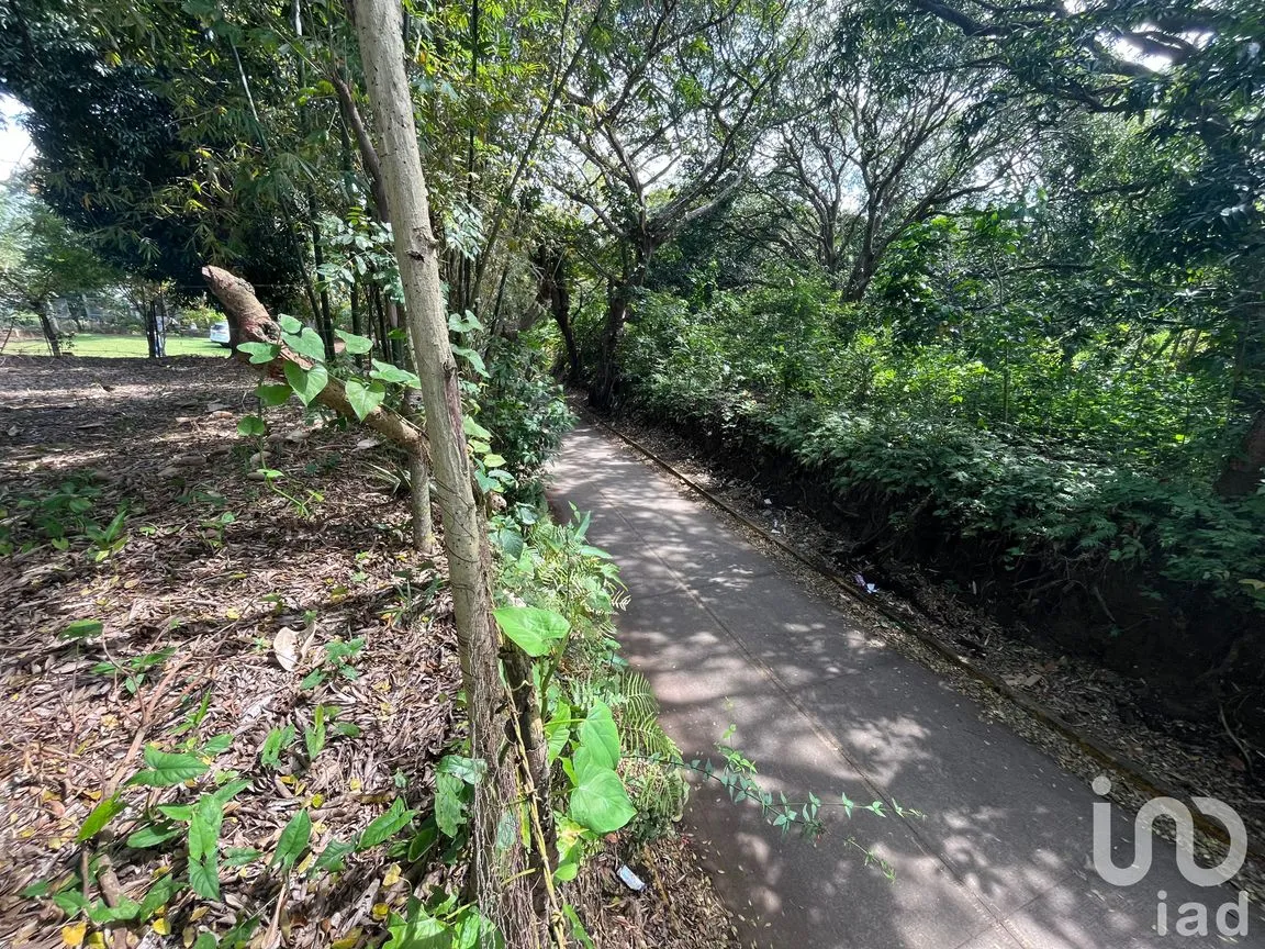 Terreno en Venta en Jorge L Tamayo, San Andrés Tuxtla, Veracruz de Ignacio de la Llave | NEX-243389 | iad México | Foto 4 de 18