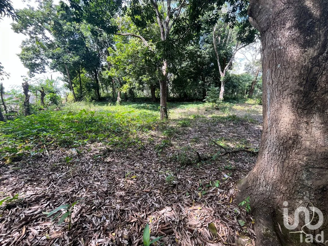 Terreno en Venta en Jorge L Tamayo, San Andrés Tuxtla, Veracruz de Ignacio de la Llave | NEX-243389 | iad México | Foto 5 de 18