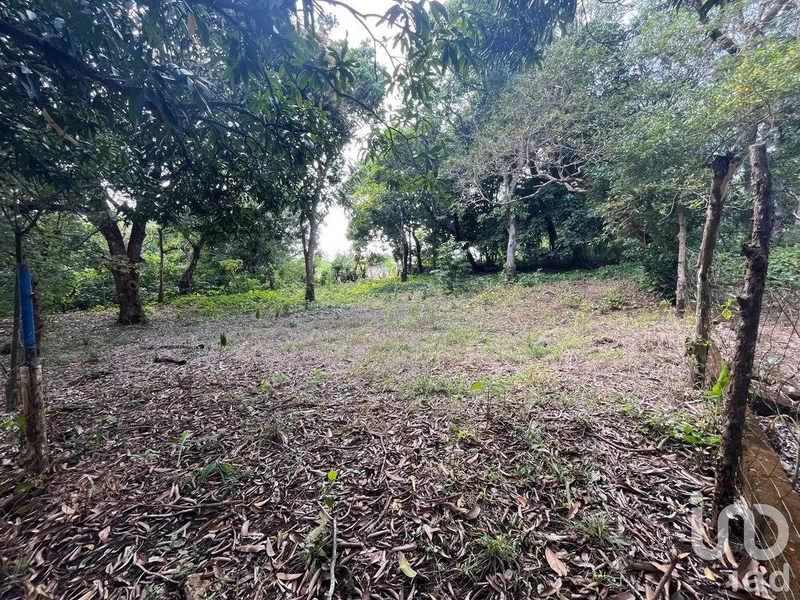 Terreno en Venta en Jorge L Tamayo, San Andrés Tuxtla, Veracruz de Ignacio de la Llave | NEX-243389 | iad México | Foto 7 de 18