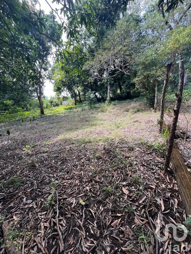 Terreno en Venta en Jorge L Tamayo, San Andrés Tuxtla, Veracruz de Ignacio de la Llave | NEX-243389 | iad México | Foto 10 de 18