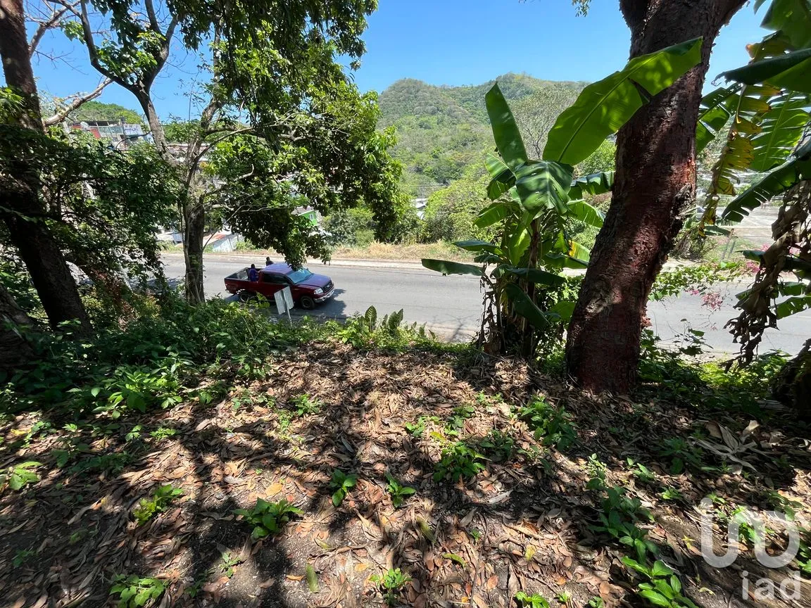 Terreno en Venta en Silva, San Andrés Tuxtla, Veracruz de Ignacio de la Llave | NEX-250068 | iad México | Foto 12 de 24