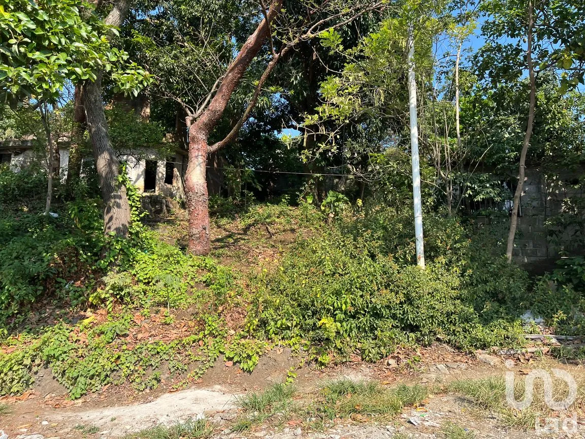 Terreno en Venta en Silva, San Andrés Tuxtla, Veracruz de Ignacio de la Llave | NEX-250068 | iad México | Foto 24 de 24