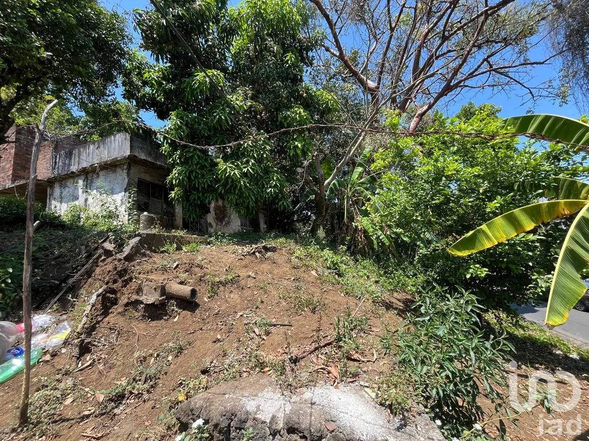 Terreno en Venta en Silva, San Andrés Tuxtla, Veracruz de Ignacio de la Llave | NEX-250068 | iad México | Foto 5 de 24