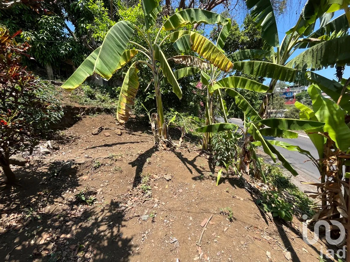 Terreno en Venta en Silva, San Andrés Tuxtla, Veracruz de Ignacio de la Llave | NEX-250068 | iad México | Foto 6 de 24